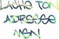 MSN
